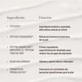 Ingredientes principales de la crema de día