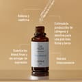 Beneficios del sérum de día